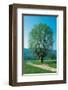 The Willow At The Fork-null-Framed Art Print