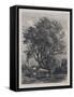 The Willow (Etching)-Samuel Palmer-Framed Stretched Canvas