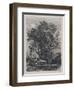 The Willow (Etching)-Samuel Palmer-Framed Giclee Print