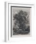 The Willow (Etching)-Samuel Palmer-Framed Giclee Print