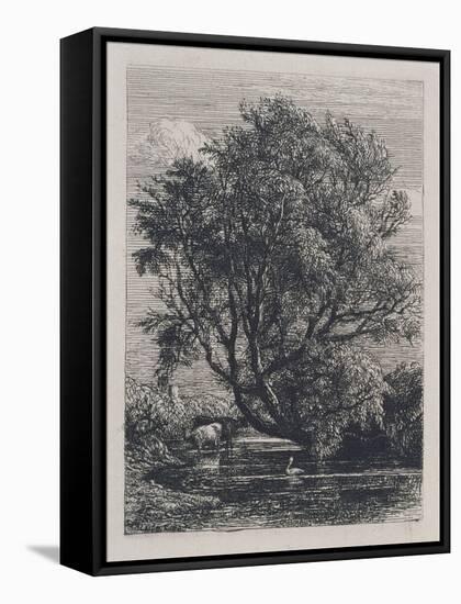 The Willow (Etching)-Samuel Palmer-Framed Stretched Canvas