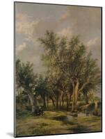 The Willow Stream, c1839-James Stark-Mounted Giclee Print