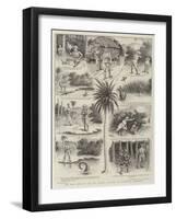 The Wily Shikari and the Greedy Saurian, an Ingenious Expedient-William Ralston-Framed Giclee Print
