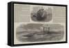 The Winans Ocean Steamer-Edwin Weedon-Framed Stretched Canvas