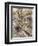 The Wind in the Willows-Arthur Rackham-Framed Giclee Print