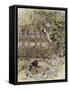 The Wind in the Willows-Arthur Rackham-Framed Stretched Canvas