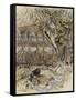 The Wind in the Willows-Arthur Rackham-Framed Stretched Canvas