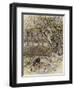 The Wind in the Willows-Arthur Rackham-Framed Premium Giclee Print