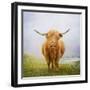 The Wind May Blow-David Baker-Framed Photographic Print