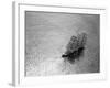 The Windjammer Olive Bank in the English Channel, 1935-null-Framed Photographic Print