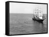 The Windjammer Olive Bank in the English Channel, 1935-null-Framed Stretched Canvas