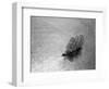 The Windjammer Olive Bank in the English Channel, 1935-null-Framed Photographic Print