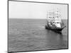 The Windjammer Olive Bank in the English Channel, 1935-null-Mounted Photographic Print