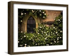 the Window 3-Doug Chinnery-Framed Photographic Print