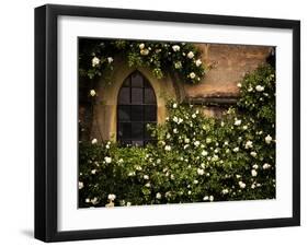 the Window 3-Doug Chinnery-Framed Photographic Print