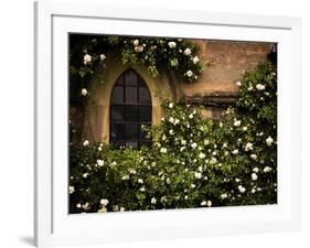 the Window 3-Doug Chinnery-Framed Photographic Print