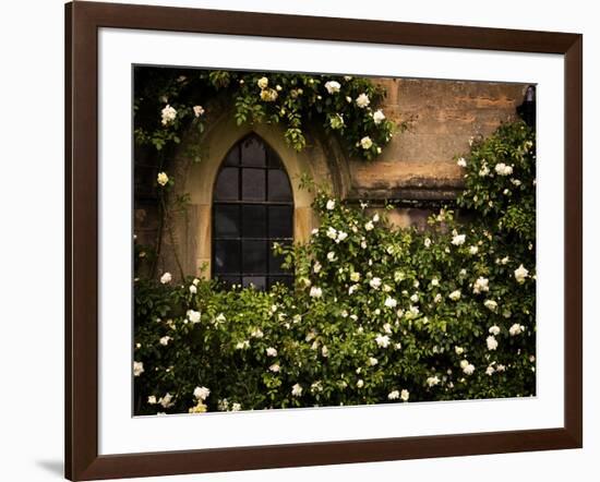 the Window 3-Doug Chinnery-Framed Photographic Print