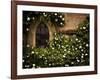 the Window 3-Doug Chinnery-Framed Photographic Print