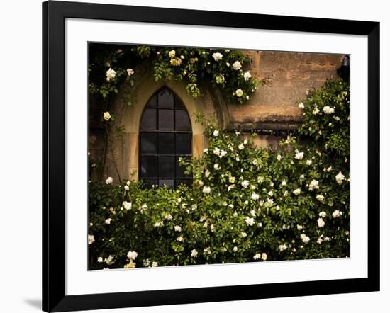 the Window 3-Doug Chinnery-Framed Photographic Print