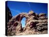 The Windows' at Arches National Park, Utah-Carol Highsmith-Stretched Canvas