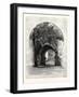 The Wine Gate, Granada, Spain-null-Framed Giclee Print