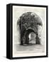 The Wine Gate, Granada, Spain-null-Framed Stretched Canvas