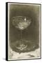 The Wine Glass, 1858-James Abbott McNeill Whistler-Framed Stretched Canvas