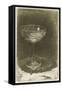 The Wine Glass, 1858-James Abbott McNeill Whistler-Framed Stretched Canvas