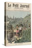 The Wine Harvest, from Le Petit Journal, 31st October 1891-Henri Meyer-Stretched Canvas