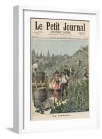 The Wine Harvest, from Le Petit Journal, 31st October 1891-Henri Meyer-Framed Giclee Print