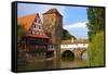 The Wine Store and Hangman's Bridge on the Pegnitz River, Nuremberg, Bavaria, Germany, Europe-Neil Farrin-Framed Stretched Canvas