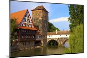 The Wine Store and Hangman's Bridge on the Pegnitz River, Nuremberg, Bavaria, Germany, Europe-Neil Farrin-Mounted Photographic Print