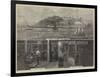 The Wine Supply of England, Messers Gilbey's Claret Stores-null-Framed Giclee Print