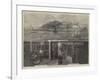 The Wine Supply of England, Messers Gilbey's Claret Stores-null-Framed Giclee Print