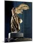 The Winged Victory or Nike of Samothrace, Marble, c. 190 BC-null-Mounted Premium Photographic Print