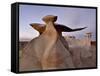 The Wings at Dusk, Bisti Wilderness, New Mexico, United States of America, North America-James Hager-Framed Stretched Canvas