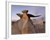 The Wings at Dusk, Bisti Wilderness, New Mexico, United States of America, North America-James Hager-Framed Photographic Print