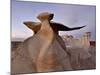 The Wings at Dusk, Bisti Wilderness, New Mexico, United States of America, North America-James Hager-Mounted Photographic Print