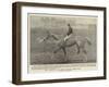 The Winner of the Grand National Steeplechase-null-Framed Giclee Print