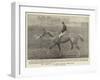 The Winner of the Grand National Steeplechase-null-Framed Giclee Print