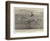 The Winner of the Grand National Steeplechase-null-Framed Giclee Print