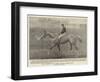 The Winner of the Grand National Steeplechase-null-Framed Giclee Print