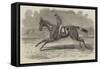 The Winner of the Newmarket July Stakes, Lord John Scott's BC Brother to Elthiron-Benjamin Herring-Framed Stretched Canvas