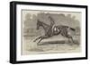 The Winner of the Newmarket July Stakes, Lord John Scott's BC Brother to Elthiron-Benjamin Herring-Framed Giclee Print