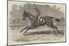 The Winner of the Newmarket July Stakes, Lord John Scott's BC Brother to Elthiron-Benjamin Herring-Mounted Giclee Print