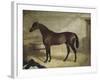 The Winner-John Frederick Herring II-Framed Giclee Print