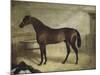 The Winner-John Frederick Herring II-Mounted Giclee Print