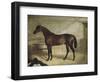 The Winner-John Frederick Herring II-Framed Giclee Print