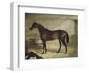 The Winner-John Frederick Herring II-Framed Giclee Print