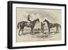 The Winners of the Derby and Oaks-null-Framed Giclee Print